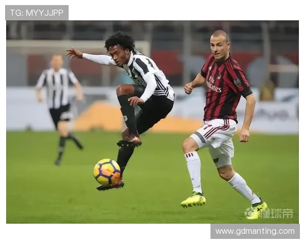 聚焦佛罗伦萨俱乐部探寻紫百合崛起与未来发展之路全景脉动分析篇